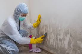 Best Asbestos and Lead Testing During Mold Inspection  in Timonium, MD